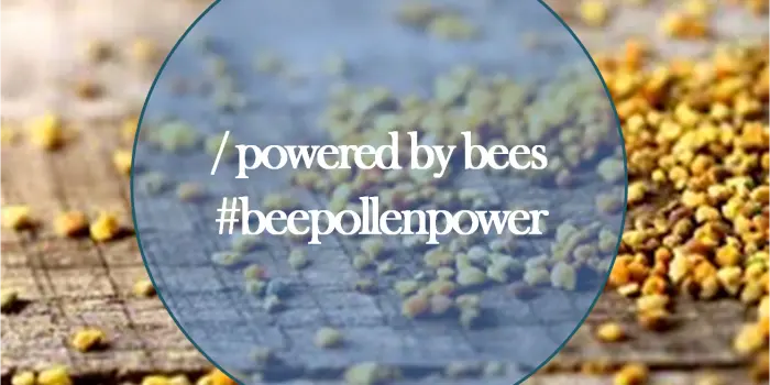 Powered-by-Bees-Our-workers-are-powered-by-pollen Happy Valley Honey