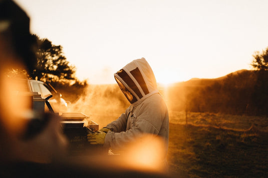 Happy Valley Honey: A New Zealand Family’s 40-Year Story