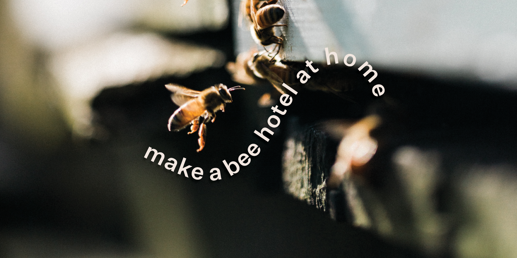 Make a DIY Bee Hotel