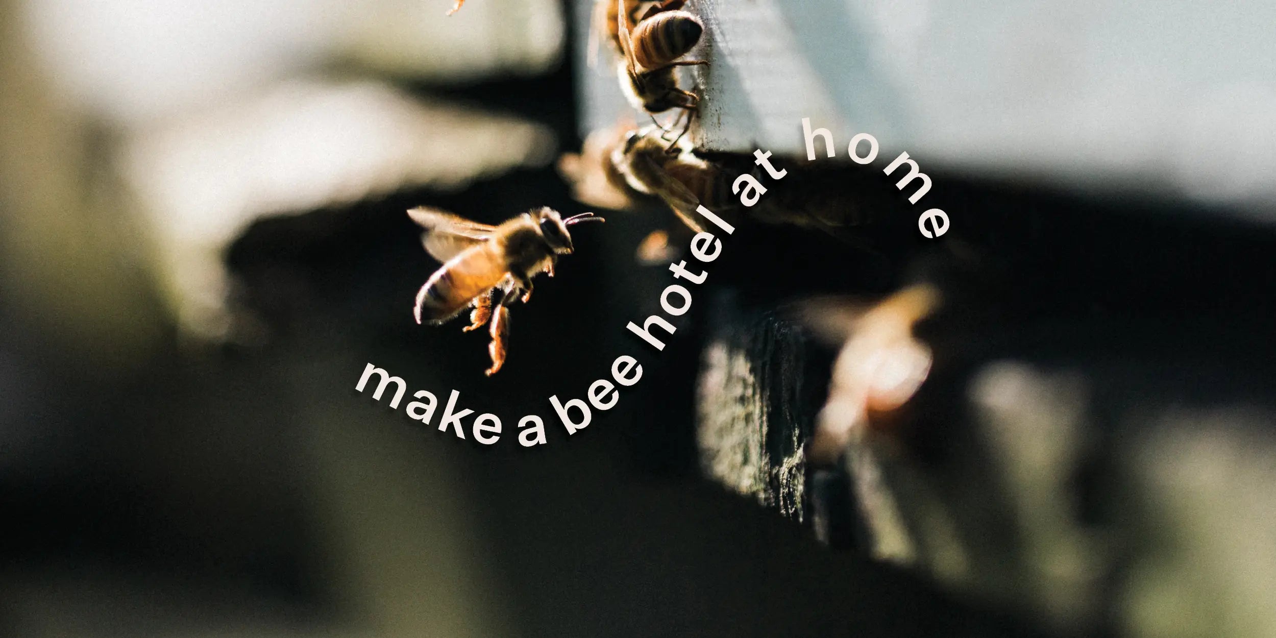 Bauen Sie ein DIY-Bienenhotel