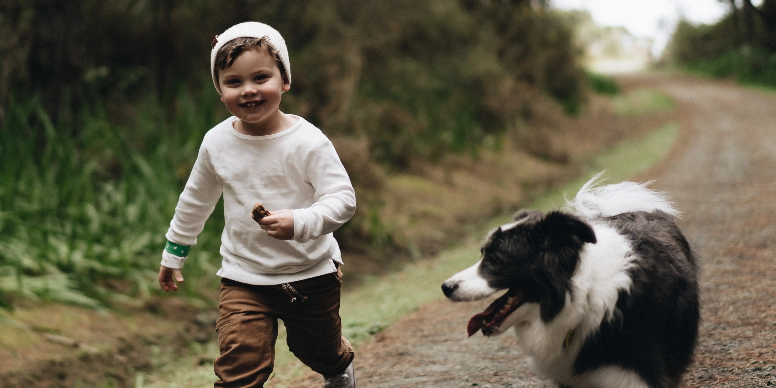 Manuka Honey on Animals