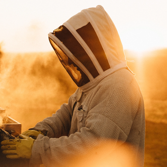 From Remote NZ Bush to Your Table: The Journey of New Zealand Manuka Honey