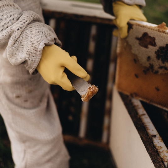 Why Manuka Honey Has Been Traditionally Valued