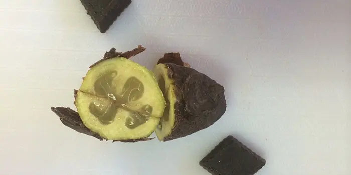 Chocolate-Free-Easter-But-how Happy Valley Honey