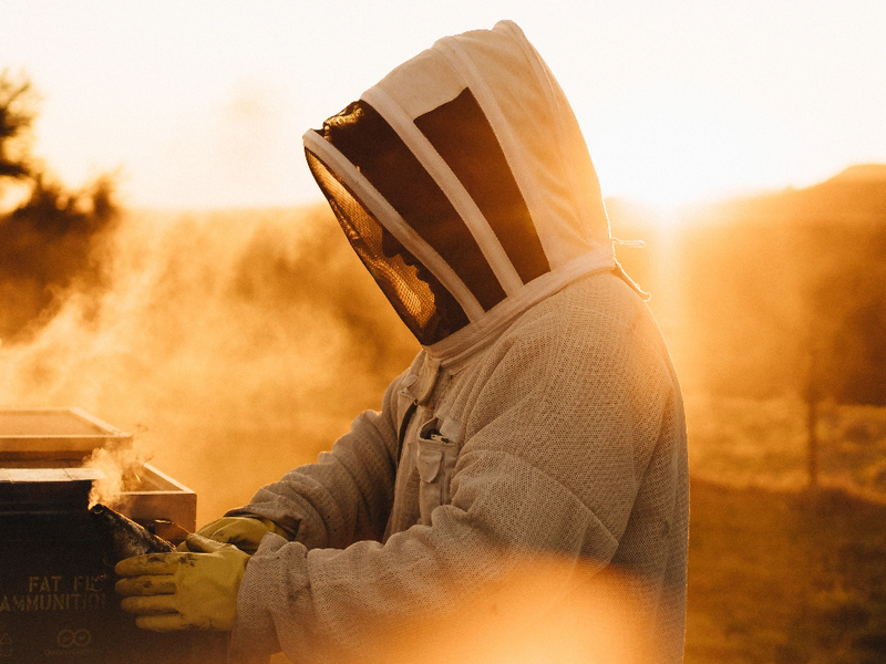 Single-origin vs multifloral