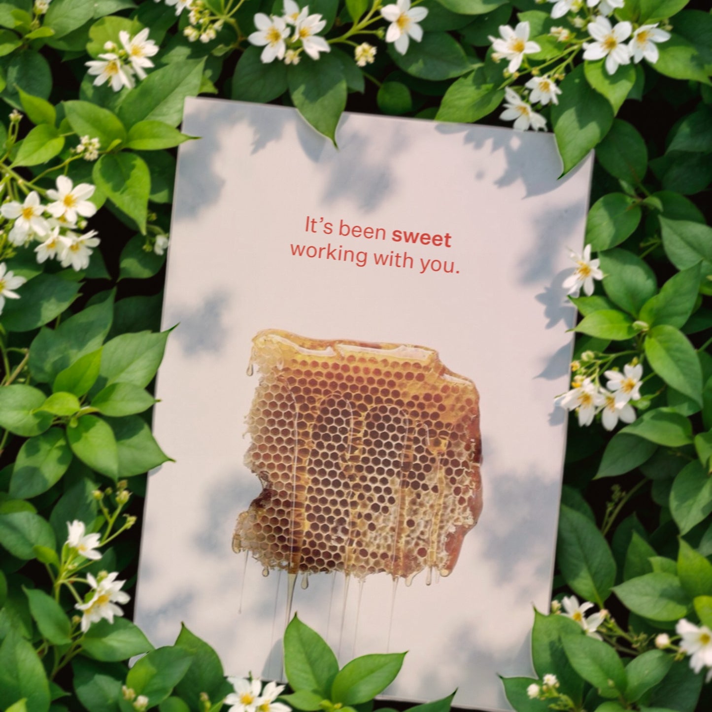 Manuka Anywhere, Anytime! UMF 5+