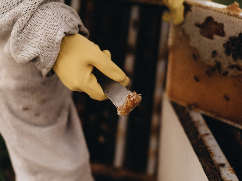 images4.png__PID:e5fb69fb-3156-4d6f-9ec4-756f8d3bf149